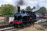 DSC_18731.jpg