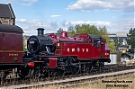 DSC_18741~0.jpg