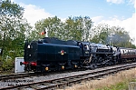 DSC_18820.jpg