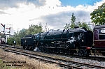 DSC_18821.jpg