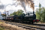 DSC_18842.jpg