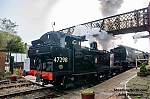 DSC_18870~0.jpg