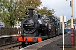 DSC_18874.jpg