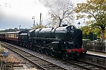 DSC_18878.jpg