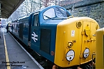 DSC_19118~0.jpg