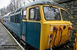DSC_19121~0.jpg