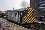 DSC_19132.jpg