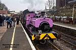 DSC_19146.jpg