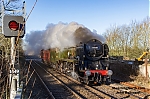 DSC_19187.jpg