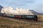 DSC_19214.jpg