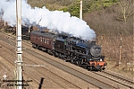 DSC_19245.jpg