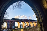 DSC_19269.jpg