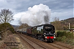 DSC_19287.jpg