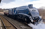 DSC_19346.jpg
