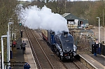 DSC_19353.jpg