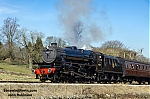 DSC_19501~0.jpg