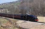 DSC_19534~0.jpg