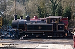 DSC_19542~0.jpg
