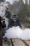 DSC_19578~1.jpg