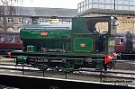 DSC_19582.jpg