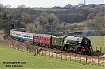 DSC_19610.jpg