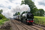 DSC_19826.jpg